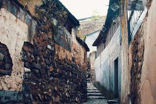 峽谷蜿蜒路，云中草原行 一場追風逐云的短途自駕之旅